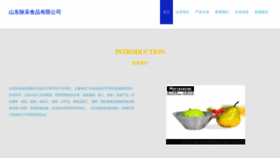 What Sdmaicai.cn website looked like in 2023 (This year)