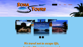 What Sonagrouptours.com website looks like in 2024 