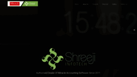 What Shreeinfotech.net website looks like in 2024 