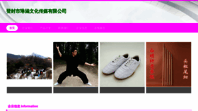 What Shaolinluohanxueyuan.com website looks like in 2024 
