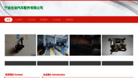 What Sdzhongchuangzhilian.com website looks like in 2024 