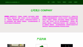 What Seedoon.com website looks like in 2024 