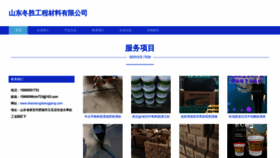 What Shandongshenggong.com website looks like in 2024 