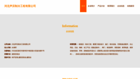 What Shengbingzl.com website looks like in 2024 