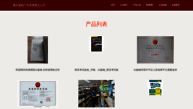 What Shengzhaopai.com website looks like in 2024 