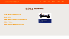 What Shouyaozhuanjia.com website looks like in 2024 