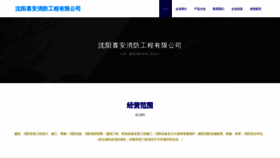 What Syxinan.com website looks like in 2024 