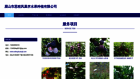 What Scfenghuangli.com website looks like in 2024 