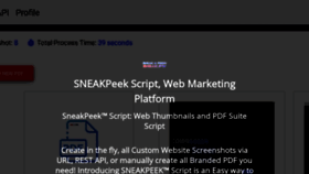 What Sneak.pw website looks like in 2024 