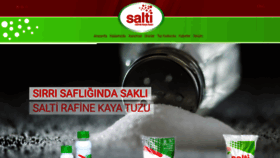 What Salti.com.tr website looks like in 2024 