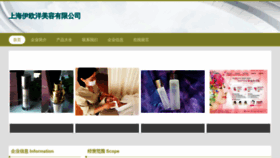 What Shioi.cn website looks like in 2024 