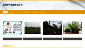 What Shdiyang.cn website looks like in 2024 