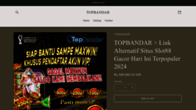 What Stoppainrem.com website looks like in 2024 