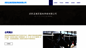 What Sjidhic.cn website looks like in 2024 