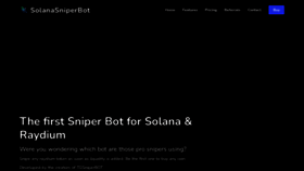 What Solanasniperbot.com website looked like in 2024 (1 year ago)