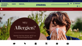 What Staudigl.at website looks like in 2024 