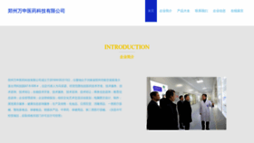 What Szwanshen.com website looks like in 2024 