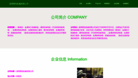What Saiyue01.com website looks like in 2024 