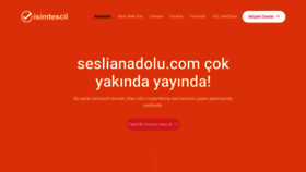 What Seslianadolu.com website looks like in 2024 