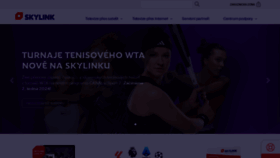 What Skylink.cz website looks like in 2024 