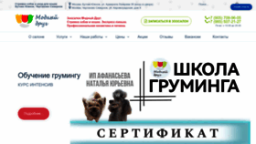 What Style-pet.ru website looks like in 2024 