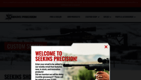 What Seekinsprecision.com website looks like in 2024 