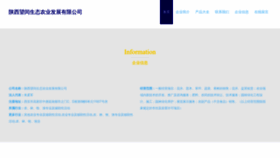 What Sxwangrun.com website looks like in 2024 