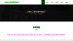 What Shyongte.com website looked like in 2024 (1 year ago)