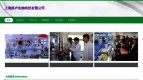 What Shtinglu.com website looks like in 2024 