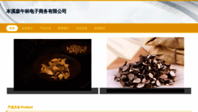 What Senwulin.com website looks like in 2024 
