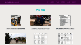 What Schiz.cn website looks like in 2024 