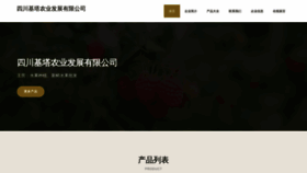 What Scjita.cn website looks like in 2024 