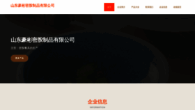 What Sdhaobin.cn website looks like in 2024 