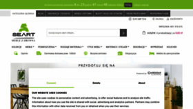 What Seart.pl website looks like in 2024 