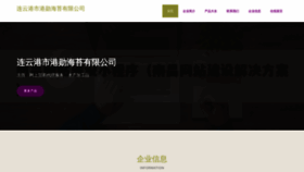 What Sdnuganxun.com website looks like in 2024 