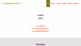 What Shandongtianqiwangluo.com website looks like in 2024 