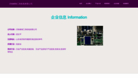 What Shengruicn.com website looks like in 2024 
