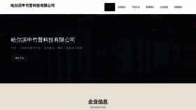 What Shenzhubajie.com website looks like in 2024 