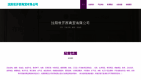 What Shikai168.com website looks like in 2024 
