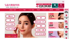 What Shinagawa.com website looks like in 2024 