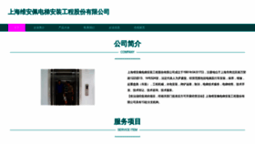 What Shzvip.cn website looks like in 2024 