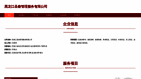 What Shengqianfuzhuang.com website looks like in 2024 