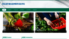 What Shengdaost.com website looks like in 2024 