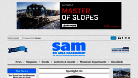 What Saminfo.com website looks like in 2024 