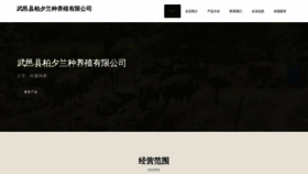 What Sjmbxl.cn website looks like in 2024 