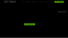 What Spenga.com website looks like in 2024 