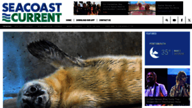What Seacoastcurrent.com website looks like in 2024 