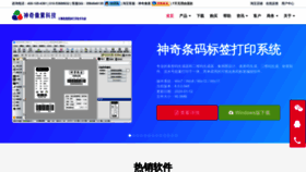 What Shenqixiangsu.com website looks like in 2024 