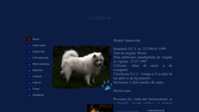 What Samoyede.ro website looks like in 2024 