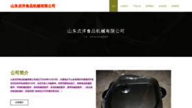 What Sdzhenyang.com website looks like in 2024 